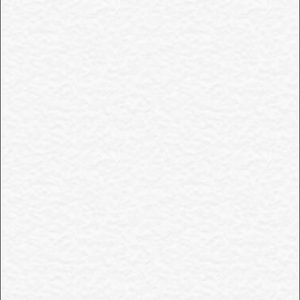 Meet your Posher, Kailey